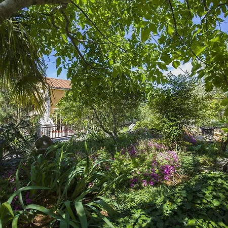 Appartement Apartment Vili *