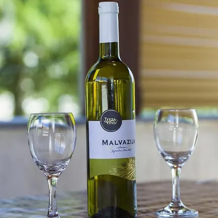 Apartment Vili Lägenhet